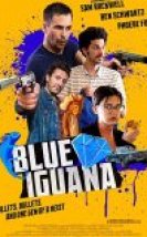 Mavi Iguana