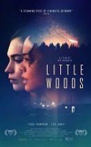 Little Woods Türkçe Dublajlı izle