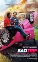 Bad Trip Türkçe Altyazılı izle