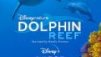 Dolphin Reef Türkçe Altyazılı 2020 Filmi izle