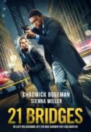 21 Bridges