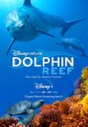 Dolphin Reef Türkçe Altyazılı 2020 Filmi izle