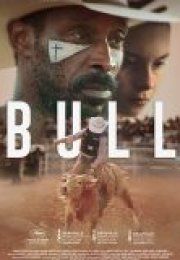 Bull