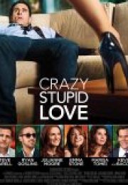 Çılgın Aptal Aşk