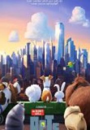 Evcil Hayvanların Gizli Yaşamı