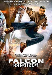 Falcon Rising