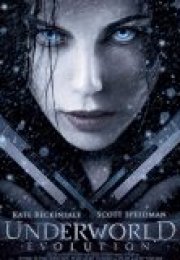 Karanlıklar Ülkesi 2