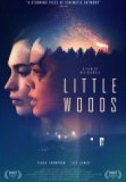 Little Woods