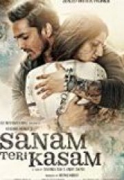 Sanam Teri Kasam