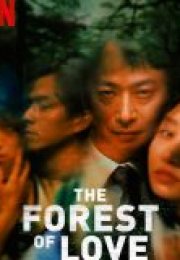 The Forest of Love