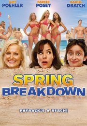 Unutulmaz Tatil (Spring Breakdown) izle (2009)