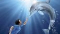 Bir Yunusun Hikayesi