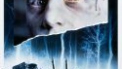 Hayvan Mezarlığı 1