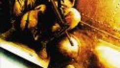 Kara Şahin Düştü