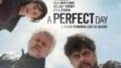 Mükemmel Bir Gün